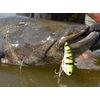 Kép 3/3 - BERKLEY Flatt Shad FT GOLD 6,6cm wobbler