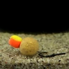 Kép 4/4 - CARP ACADEMY Blow Back Rig 2-es méret 2db/cs előkötött pontyozó szerelék