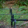 Kép 5/5 - CARP ACADEMY Bobbin Swinger Red/Piros
