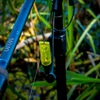 Kép 5/5 - CARP ACADEMY Flexi Pro Carp Hanger 3db-os szett