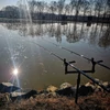 Kép 3/3 - CARP ACADEMY Triangle Buzz Bar DLX 20cm 2botos