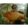 Kép 4/4 - DELPHIN CARPY Plüss Ponty 60cm