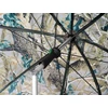 Kép 4/7 - DELPHIN CLASSA CAMO ernyő oldalfallal 250cm