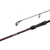 Kép 1/7 - DELPHIN ETNA LEGEND4RY 3,8m/3,5lbs pontyozó bot