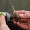 Kép 3/8 - GURU Multi Maggot feeder kosár Small 30g