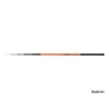 Kép 2/5 - DELPHIN INFERNO Pole 6m spiccbot