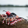 Kép 2/3 - MADCAT CLONK TEASER The Original 150g RED