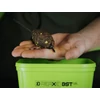 Kép 8/8 - DELPHIN Method QUIX XL feeder kosár töltő