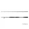 Kép 2/7 - DELPHIN MonstaX 170cm/150g/2részes harcsázó bot