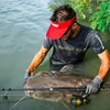 Kép 5/7 - PENN Legion Cat Silver RVR Monster 3.20m harcsázó bot