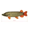 Kép 2/4 - DELPHIN PIKY Plüss Csuka 60cm