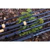 Kép 6/9 - PROLOGIC C2 ELEMENT SC 12'/3.60M 3.25LBS 2részes 50MM AR bojlisbot