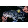 Kép 5/10 - SHIMANO Spheros 5000 SW A XG harcsázó orsó