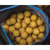 Kép 2/3 - SHIMANO TX1 Boillie Banana & Pineapple 20mm 1kg bojli