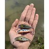 Kép 5/5 - SAVAGE GEAR 3D STICKLEBAIT TWITCH 5.5cm 7g Black Silver