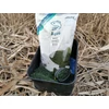 Kép 2/3 - TOP MIX AQUA Betain Complex Green Pellet