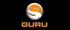 Guru