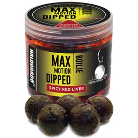 HALDORÁDÓ MAX MOTION Boilie Dipped 20 mm - Fűszeres Vörös Máj