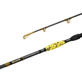 DELPHIN HAZARD BxG 285cm/505g harcsázó bot