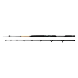 NEVIS Powercat BX 2.70m 200-400g harcsázó bot
