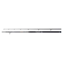 SHIMANO Beastmaster AX Catfish Spinning Versatile 2,30m 200g 2részes harcsázó bot