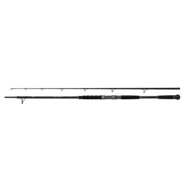 SHIMANO Beastmaster AX Catfish Spinning Lure 2,20m 120g 2részes harcsázó bot