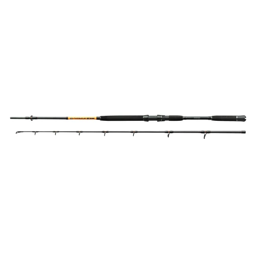 NEVIS Powercat BX 3m 200-400g harcsázó bot