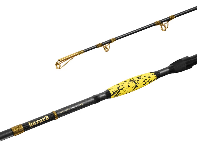 DELPHIN HAZARD BxG 255cm/505g harcsázó bot